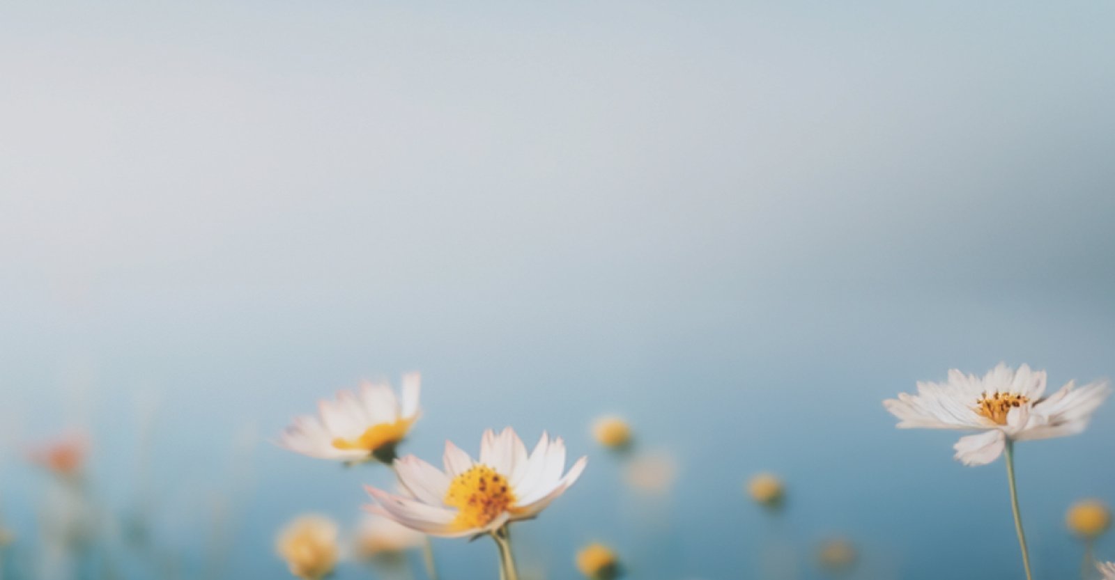 Why We're Loved, Gentle Care, Real Results