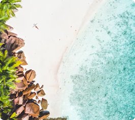 Nature-Inspired Treatments